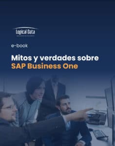 ebook Sap Business One