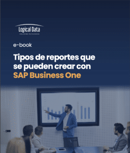 ebook reportes SAP