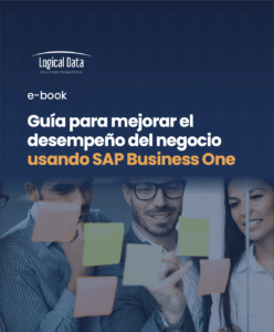 ebook desempeño SAP Business One