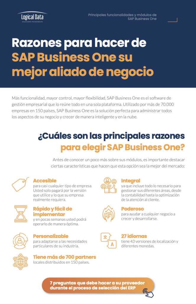 sap business one partner