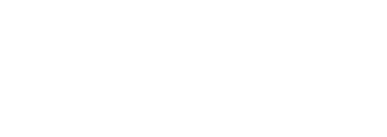 LDCom Logo white